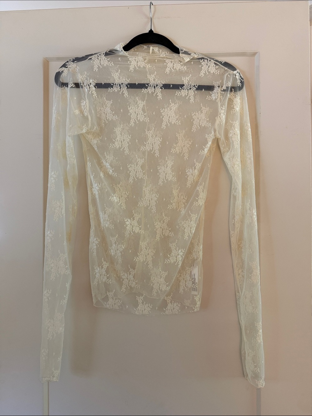 Free people Sheer Floral Lace Long-Sleeve Top in Cream